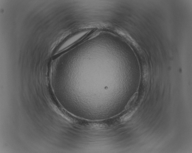 X0000077350585200611031823