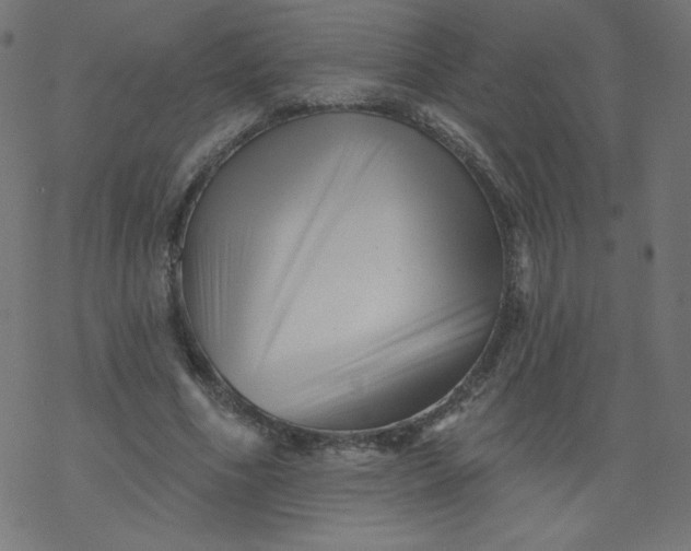 X0000077350586200611031823