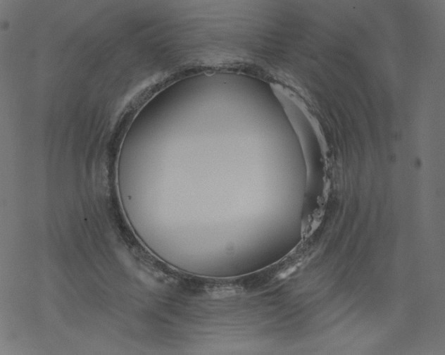 X0000077350587200611031823