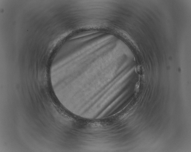 X0000077350588200611031823