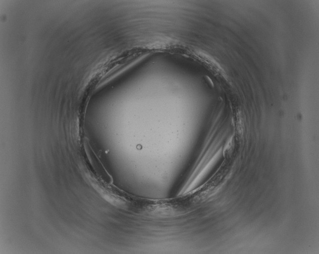 X0000077350589200611031823