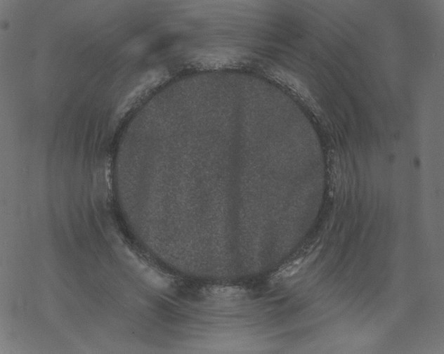 X0000077350590200611031823