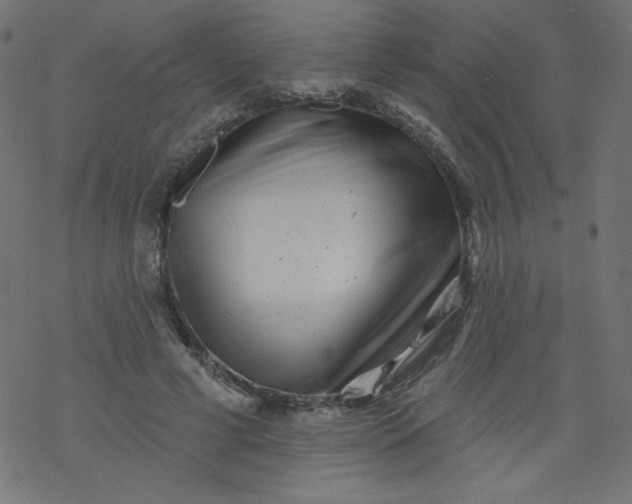 X0000077350593200611031823