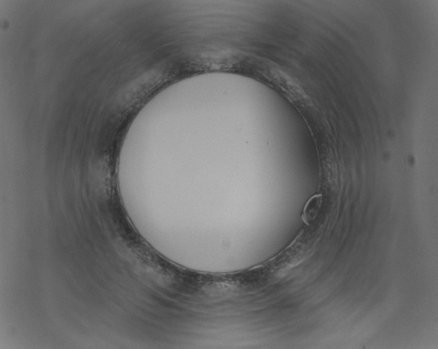 X0000077350594200611031823