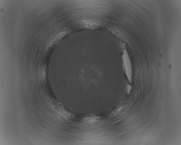 X0000077350595200611031823