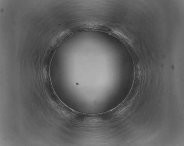 X0000077350597200611031823