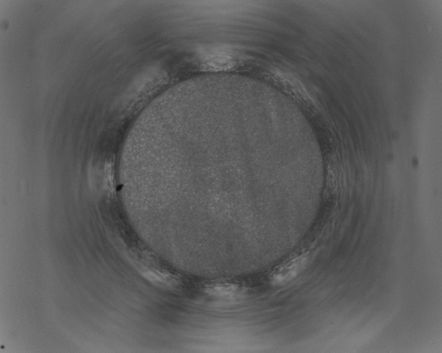 X0000077350598200611031823