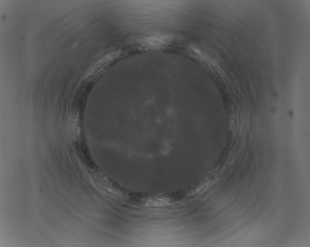 X0000077350599200611031823