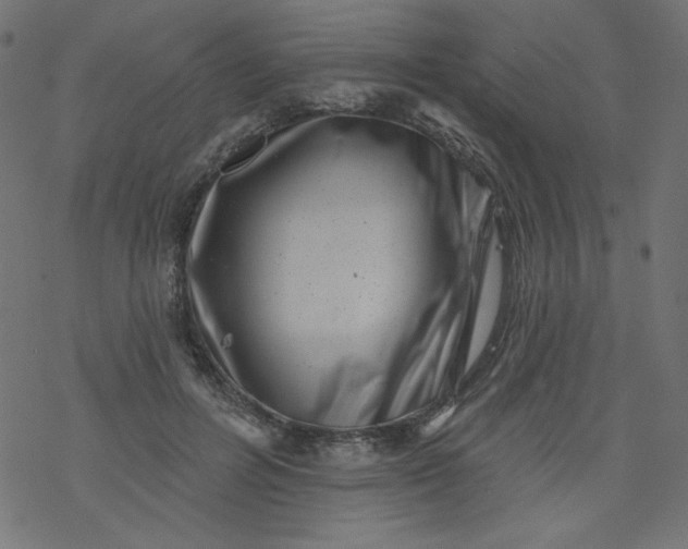 X0000077350600200611031823