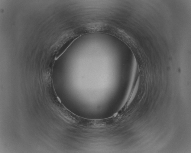 X0000077350601200611031823