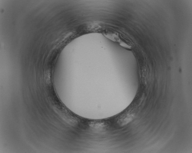 X0000077350602200611031823