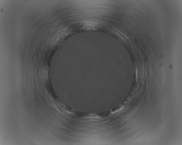 X0000077350603200611031823