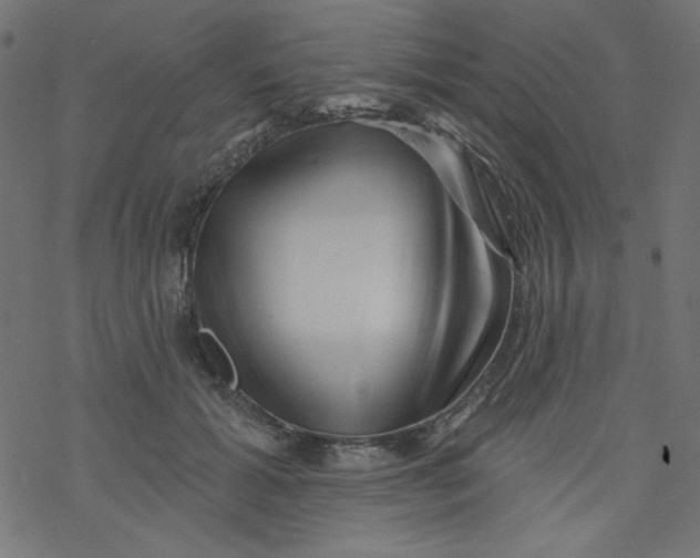 X0000077350605200611031823