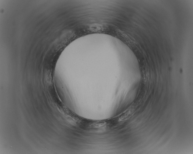 X0000077350606200611031823