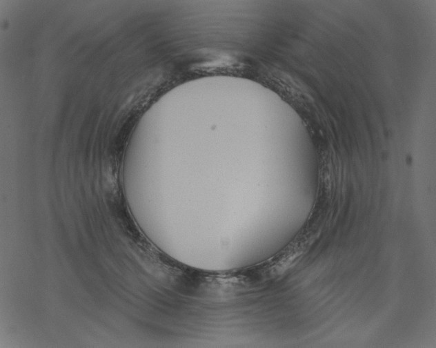 X0000077350607200611031823