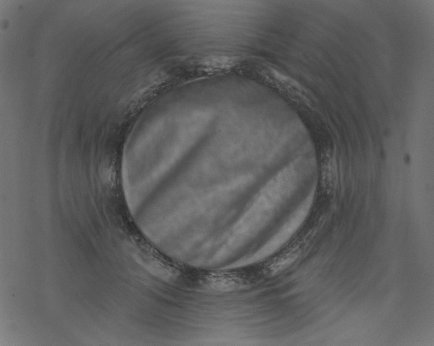 X0000077350608200611031823