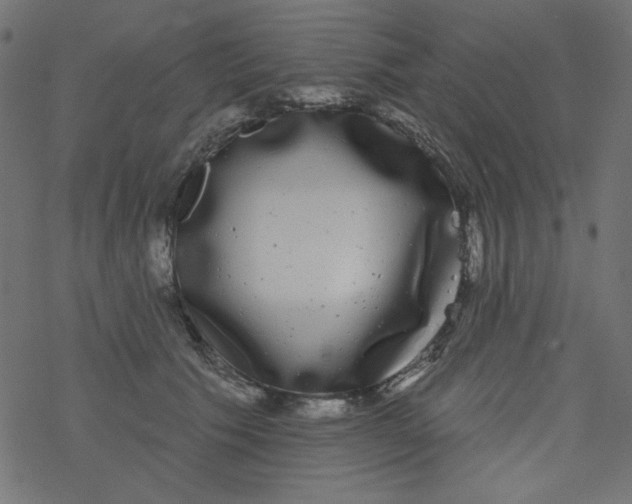 X0000077350609200611031823