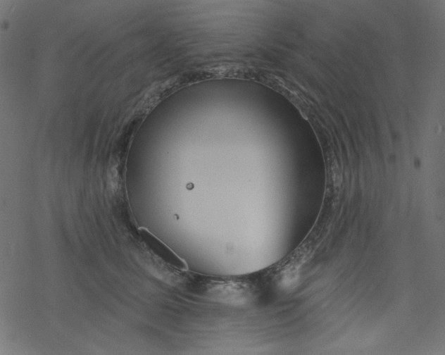 X0000077350611200611031823