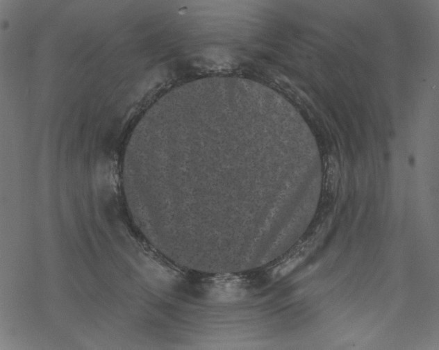 X0000077350612200611031823