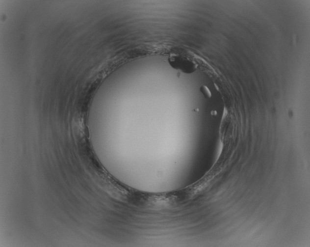 X0000077350613200611031823