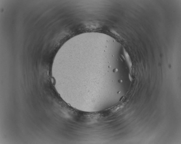 X0000077350615200611031823