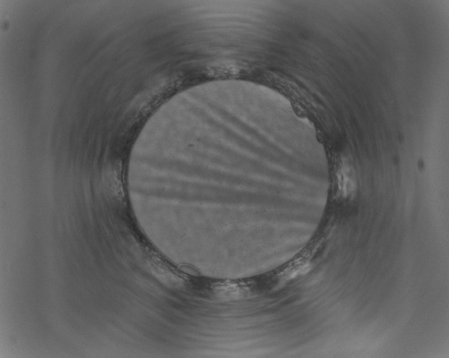 X0000077350616200611031823