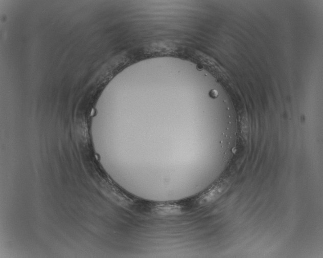 X0000077350617200611031823