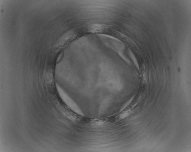 X0000077350620200611031823