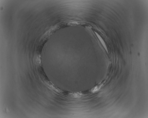 X0000077350621200611031823