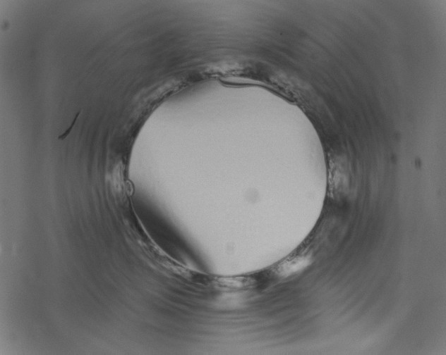 X0000077350623200611031823