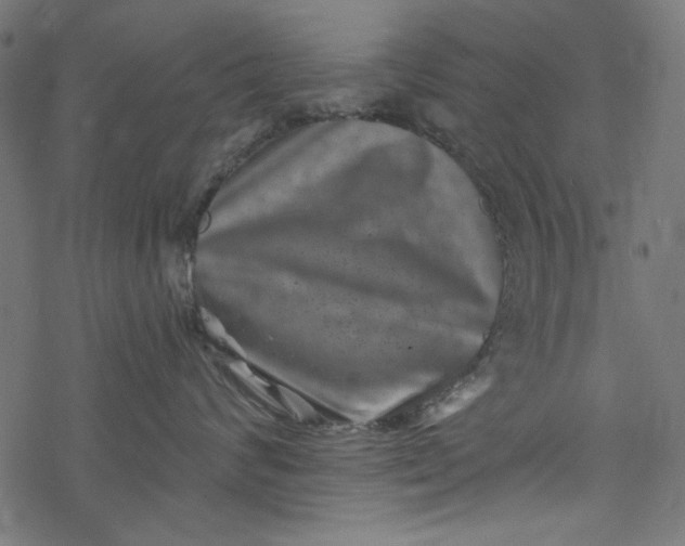 X0000077350624200611031823