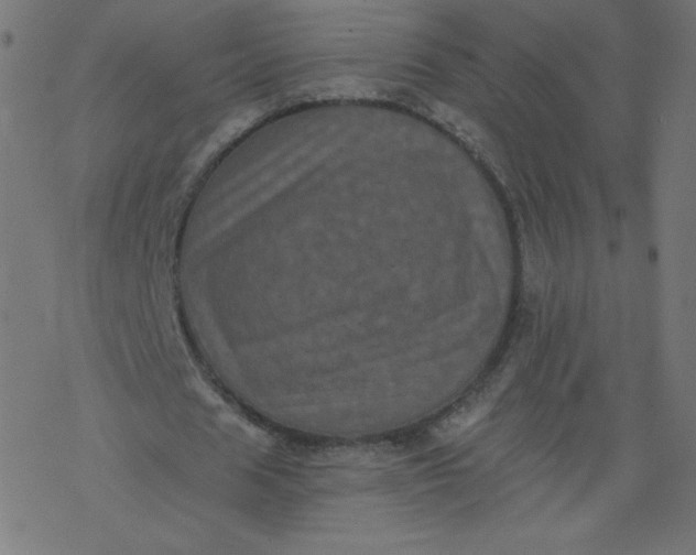 X0000077350625200611031822