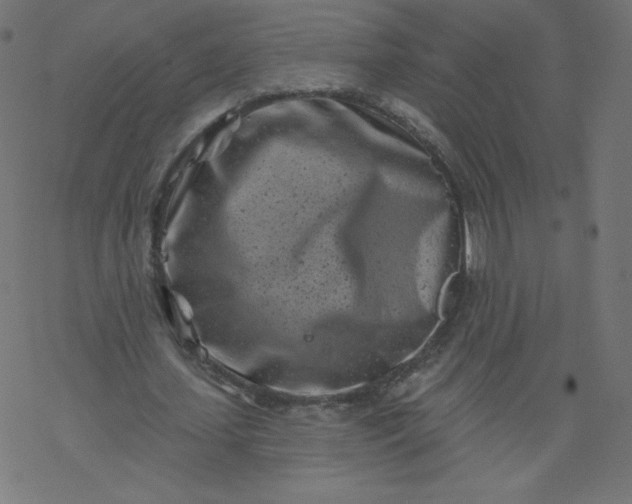 X0000077350627200611031822