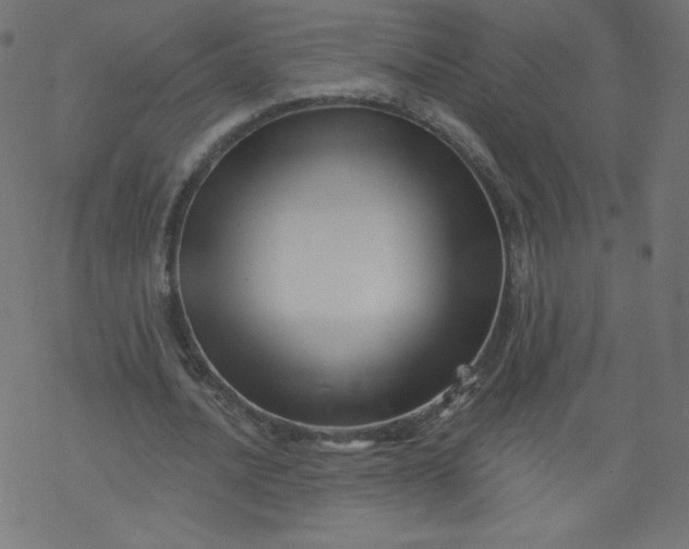 X0000077350628200611031822