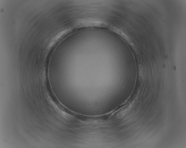 X0000077350629200611031822