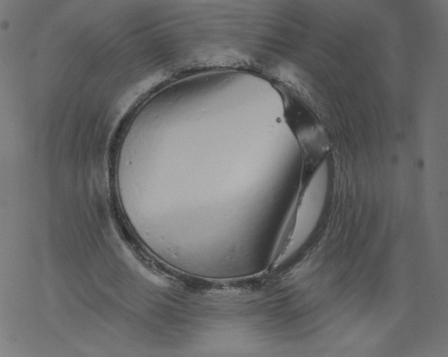 X0000077350630200611031822