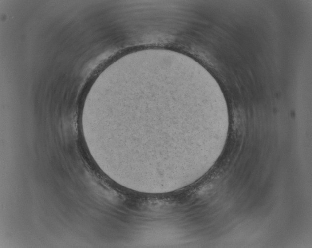 X0000077350632200611031822