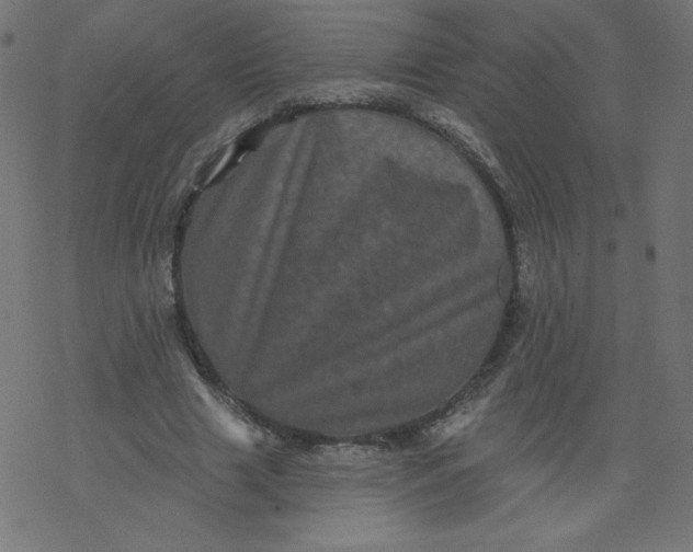 X0000077350633200611031822