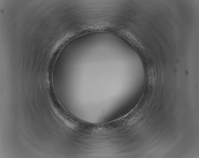 X0000077350634200611031822