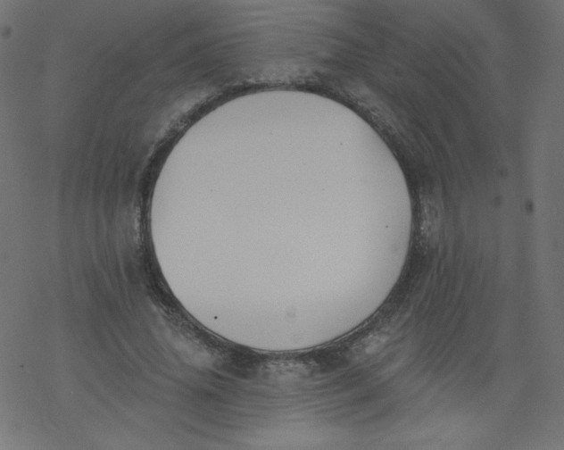 X0000077350636200611031822