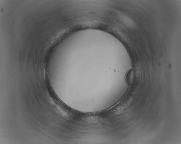 X0000077350637200611031822