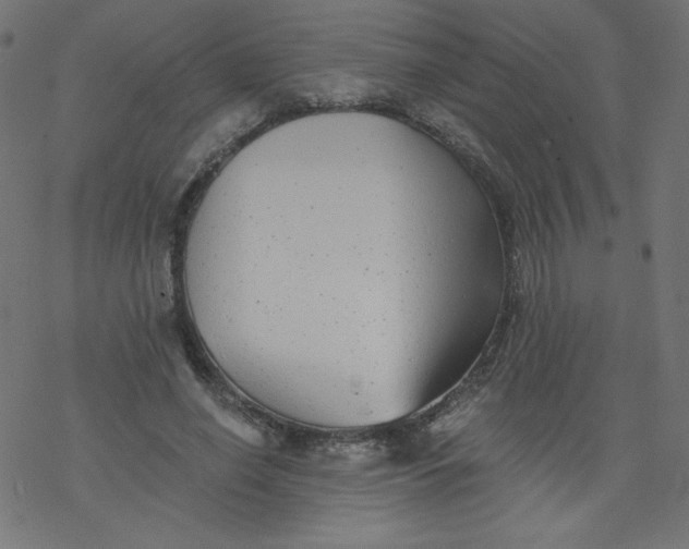 X0000077350638200611031822