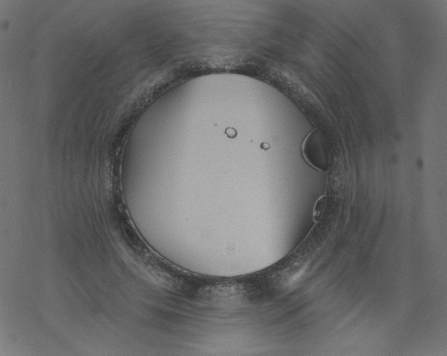 X0000077350639200611031822