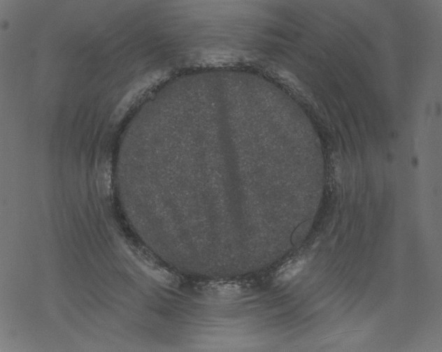 X0000077350640200611031822