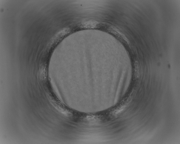 X0000077350641200611031822