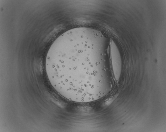 X0000077350644200611031822