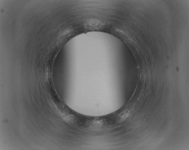 X0000077350647200611031822