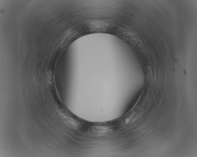 X0000077350649200611031822