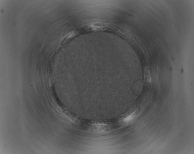 X0000077350650200611031822