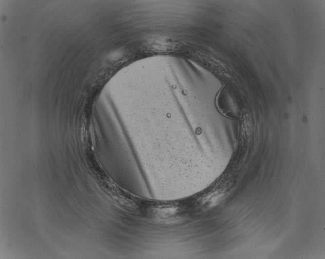 X0000077350651200611031822